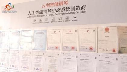 銀發(fā)創(chuàng)業(yè)傳奇 傾盡家產(chǎn)鑄琴魂，兩年破兩億的跨界逆襲