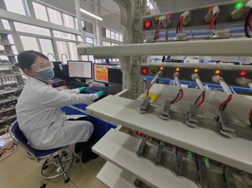 中國首創！洛陽牡丹殼變廢為寶，開啟鈉電池負極材料新紀元